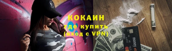 ешки Бронницы