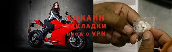 ешки Бронницы